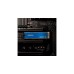 ADATA LEGEND 700 1 TB, SSD(blau/gold, PCIe 3.0 x4, NVMe 1.3, M.2 2280)