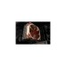 ALTERNATE Gaming-PC Silent Edition • RTX 4070 • Intel® Core™ i5-14600KF • 32 GB RAM(schwarz, Windows 11 Home 64-Bit)