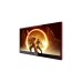 AOC GAMING 16G3, Gaming-Monitor(40 cm (16 Zoll), schwarz/rot, FullHD, IPS,AMD Free-Sync, Tragbarer Monitor, 144Hz Panel)