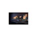 ASUS PA32UCX-PK, LED-Monitor(81.3 cm (32 Zoll), schwarz, UltraHD/4K, IPS, Thunderbolt 3)