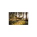Amazonas Adventure Hero XXL AZ-1030520, Camping-Hängematte(braun/grün)