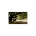 Amazonas Adventure Moskito Hammock Thermo AZ-1030430, Camping-Hängematte(grün/braun)