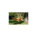 Amazonas Aruba Vanilla EL-10720000, Camping-Hängematte(gelb, Mit Spreizstäben)