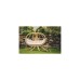 Amazonas Globo Royal Chair Natura AZ-2030850, Hängesessel(creme)