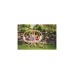 Amazonas Globo Royal Chair Natura AZ-2030850, Hängesessel(creme)