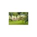 Amazonas Hängematte Barbados CappucinoAZ-1018280, Camping-Hängematte(weiß)