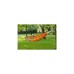 Amazonas Hängematte Barbados Papaya AZ-1018200, Camping-Hängematte(rot)