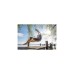Amazonas Swing Chair Anthracite AZ-2020450, Hängesessel(anthrazit/taupe)