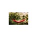 Amazonas Travel Set Jungle Mars AZ-1030255, Camping-Hängematte(rot)