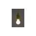 Ansmann HyCell Pull-Light PL1W, LED-Leuchte(grün)