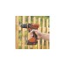 BLACK+DECKER Akku-Bohrschrauber BDCDD18N, 18Volt(orange/schwarz, ohne Akku und Ladegerät)