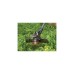 BLACK+DECKER Akku-Rasentrimmer STC1840EPC, 18Volt(orange/schwarz, Li-Ionen Akku 4,0Ah)