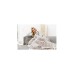 Beurer Wärme-Kuscheldecke Cosy Nordic HD 75, Heizdecke(grau, 130 x180 cm)