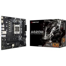 Biostar A620MT, Mainboard