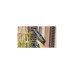 Bosch Akku-Bohrschrauber EasyDrill 18V-40(grün/schwarz, 2x Li-Ionen Akku 1,5Ah, Koffer, POWER FOR ALL ALLIANCE)