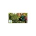 Bosch Akku-Heckenschere EasyHedgeCut 18V-52-13 Solo, 18Volt(grün/schwarz, ohne Akku und Ladegerät, POWER FOR ALL ALLIANCE)