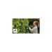 Bosch Akku-Heckenschere EasyHedgeCut 18V-52-13 Solo, 18Volt(grün/schwarz, ohne Akku und Ladegerät, POWER FOR ALL ALLIANCE)
