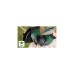 Bosch Akku-Rasentrimmer Advanced Brushcut 36V-23-750, 36Volt(grün/schwarz, Li-Ionen Akku 2,0Ah, POWER FOR ALL)