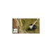 Bosch Akku-Rasentrimmer Advanced Brushcut 36V-23-750, 36Volt(grün/schwarz, Li-Ionen Akku 2,0Ah, POWER FOR ALL)