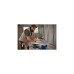 Bosch Akku-Tischkreissäge BITURBO GTS 18V-216 Professional solo, 18Volt(blau, ohne Akku und Ladegerät)