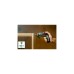 Bosch Akkuschrauber IXO 7 Set, 3,6Volt(grün/schwarz, Li-Ionen Akku 2,0Ah)