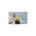 Bosch Bohrhammer GBH 2-28 Professional(blau/schwarz, 880 Watt, L-BOXX)