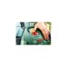 Bosch Farbsprühsystem PFS 3000-2, Sprühpistole(grün/schwarz, 650 Watt, Düse für Lackfarben + Düse für Wandfarbe)