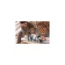 Bosch Handkreissäge GKS 85 G Professional(blau, 2.200 Watt)