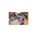 Bosch Kapp-und Gehrungssäge GCM 305-254 D Professional(blau, 1.500 Watt)