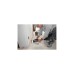 Bosch Multi-Cutter GOP 40-30 Professional, Multifunktions-Werkzeug(blau/schwarz, 400 Watt)