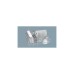 Bosch SKS50E42EU Serie | 2, Spülmaschine(weiß)