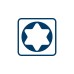 Bosch Schraubendreher TX 25 x 100 Professional(blau/schwarz)