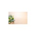 Bosch Slow Juicer VitaExtract MESM500W, Entsafter(weiß/schwarz)