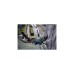 Bosch Winkelschleifer GWS 17-125 S Inox Professional(blau/schwarz, 1.700 Watt)