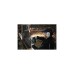 Bosch Winkelschleifer GWS 19-125 CIST(blau/schwarz, 1.900 Watt)