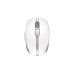 CHERRY DW 9100 SLIM, Desktop-Set(weiß/silber, FR-Layout, SX-Scherentechnologie)
