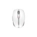 CHERRY DW 9100 SLIM, Desktop-Set(weiß/silber, PL-Layout, SX-Scherentechnologie)