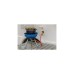 Campingaz Party Grill 400 Caravan Connect Gaskocher, Gasgrill(schwarz/blau, 30mbar, mit Wohnwagenanschluss, Modell 2023)