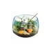 Clementoni Harry Potter - Terrarium, Experimentierkasten