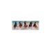 Clementoni High Quality Collection Panorama - Pferde, Puzzle(1000 Teile)