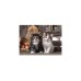 Clementoni High Quality Collection - Niedliche Kätzchen, Puzzle(1000 Teile)