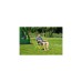 Coleman Bungee Chair2000025548, Camping-Stuhl(gelb)