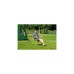 Coleman Bungee Chair2000025548, Camping-Stuhl(gelb)