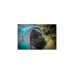 Coleman Event Dome Shelter XL, 4,5 x 4,5m, Pavillon(hellblau/grau)