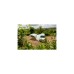 Coleman Event Shelter Driveaway Connector M, Verbindung(hellgrau, Schleuse für Event Shelter M oder Pro M (3,0m x 3,0m))