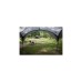 Coleman FastPitch Event Shelter XL, Pavillon(silber/dunkelblau, 4,5 x 4,5 Meter)