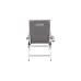 Coleman Gepolsterter Liegestuhl, 5 Positionen 2000038333, Camping-Stuhl(grau/silber)