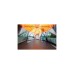 Coleman Kuppelzelt Octagon 8 Orange(orange/grau, Modell 2024)