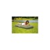 Coleman Maxi Comfort Bed Single 2000039166, Camping-Luftbett(olivgrün)