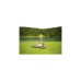 Coleman Maxi Comfort Bed Single 2000039166, Camping-Luftbett(olivgrün)